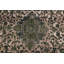 Dixon Wool Oriental Indoor Rug