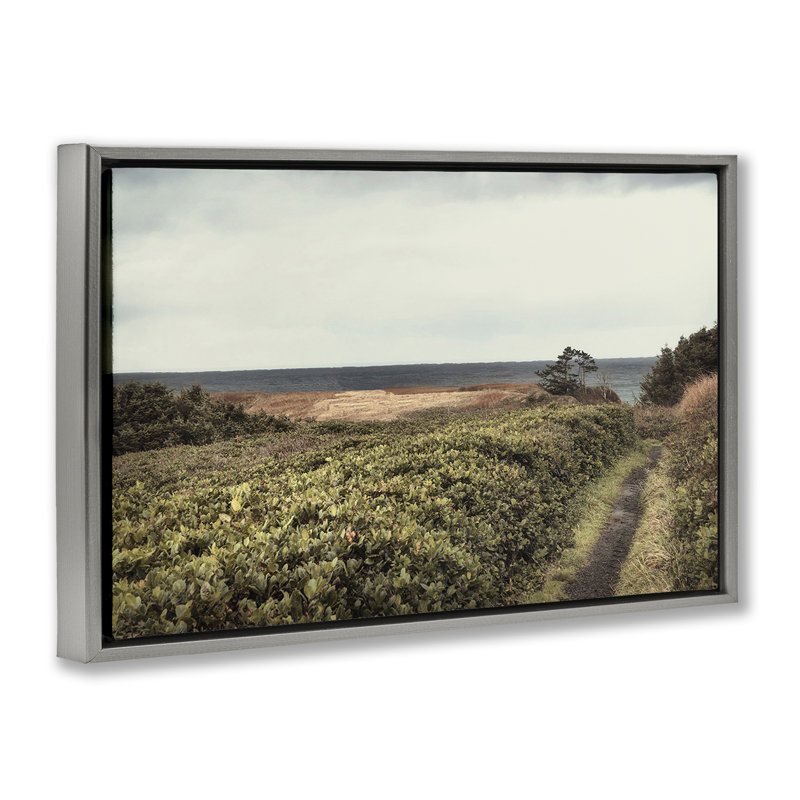  Toile flottante encadrée Serene Coastal Pathway par Andy Amos, Cadre flottant gris lustré, H 17 po x l 25 po