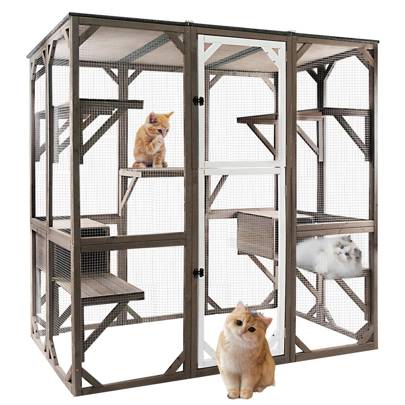 Outdoor Cat Enclosure