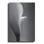 «Calla No. 5» par PhotoINC Studio-1505290322