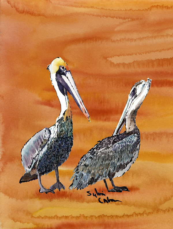 Drapeau de jardin à 2 côtés pelican