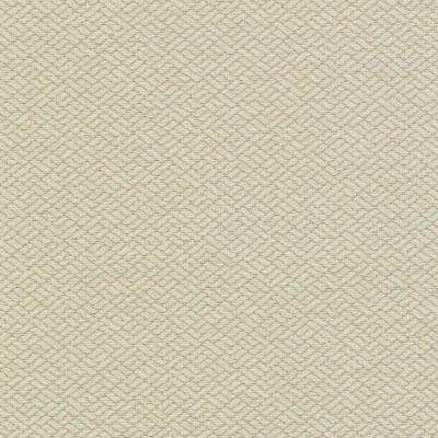Crypton Home Wovens I Fabric, Ivory