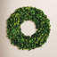 Boxwood Wreath-1919842299