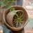 Highland Dunes Wicker Decorative Basket-40389719