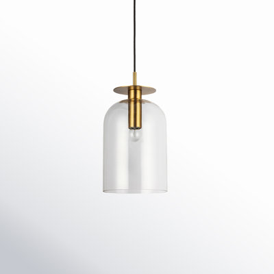 Delisa Single Light Glass Steel Pendant