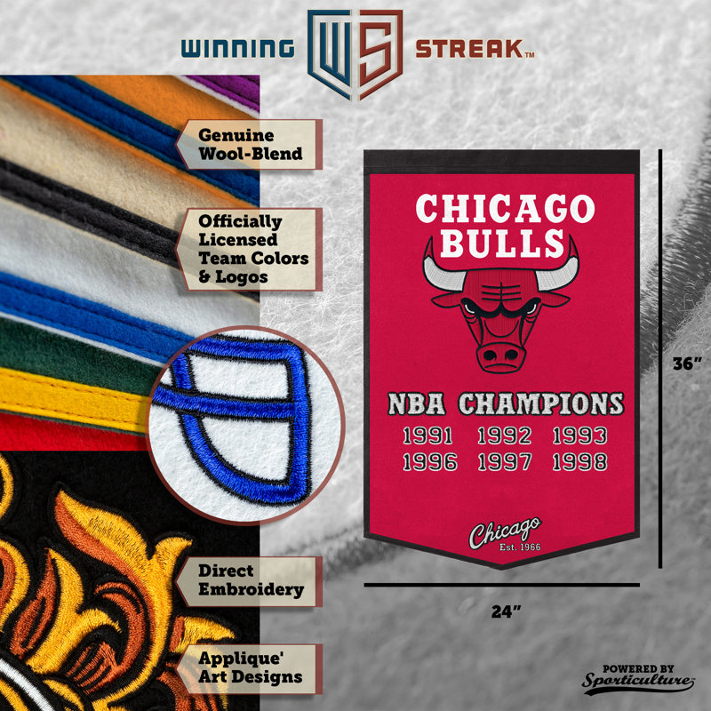 NBA Chicago Bulls Dynasty | 24 po x 36 po, Bulls de Chicago