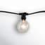 10-Light 14 ft. Globe String Light