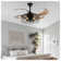 Ceiling Fan Light