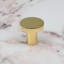 Polished Brass Disc Knobs-128905920