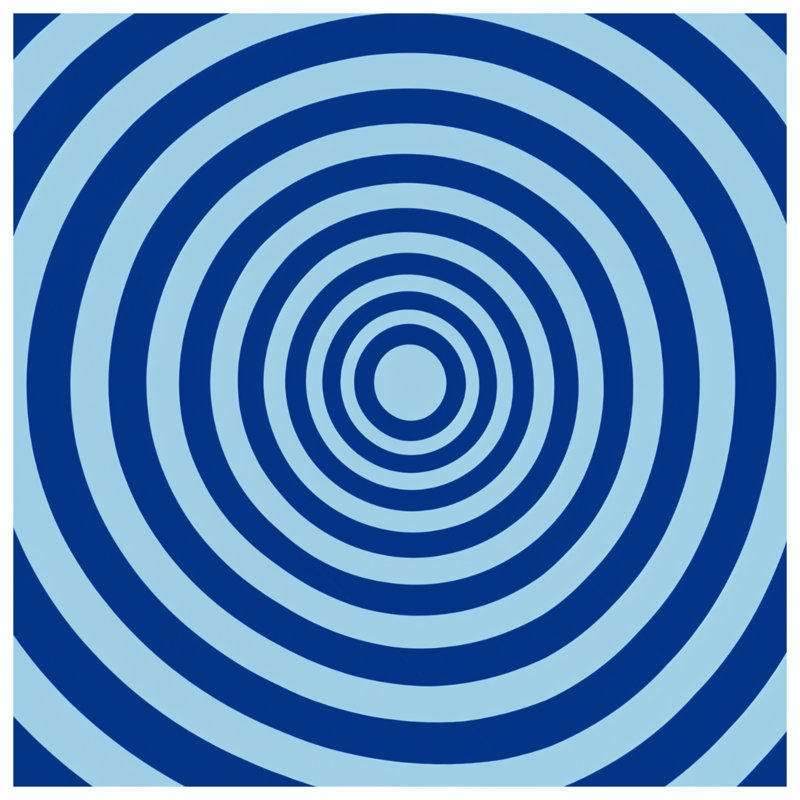 Rideaux de douche Concentric, 70in W x 84in H