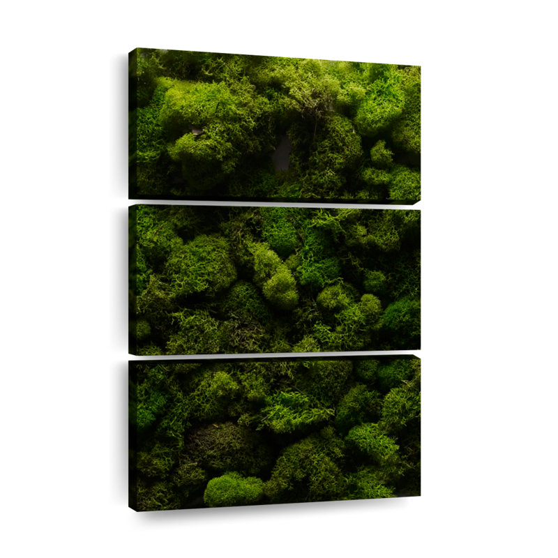 «Thick Moss», reproduction d'art sur toile, H 74 po x l 48 po x P 1,25 po