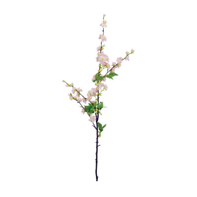 Pulvérisateur de fleurs cerises