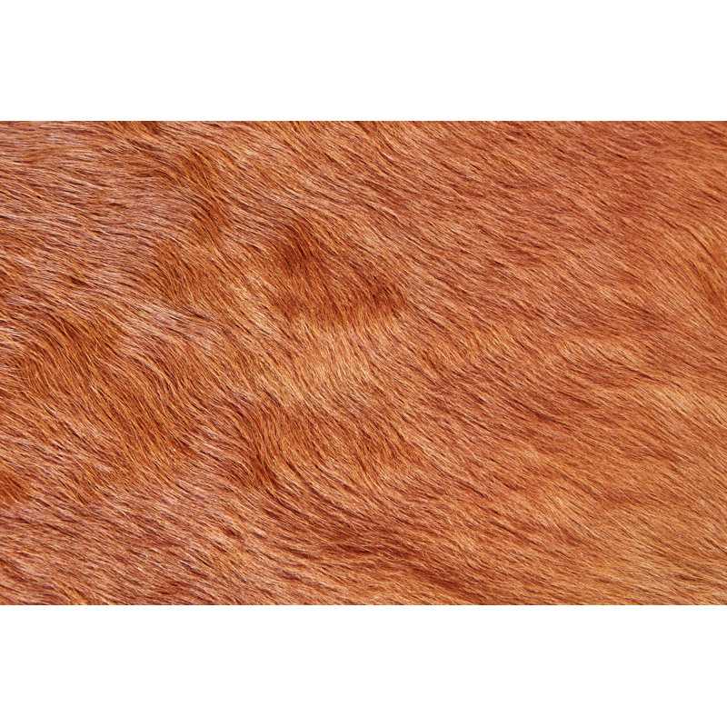 Tapis en cuir de vache 1 pi x 1 pi Novelty, Rectangulaire : 12 pi x 15 pi