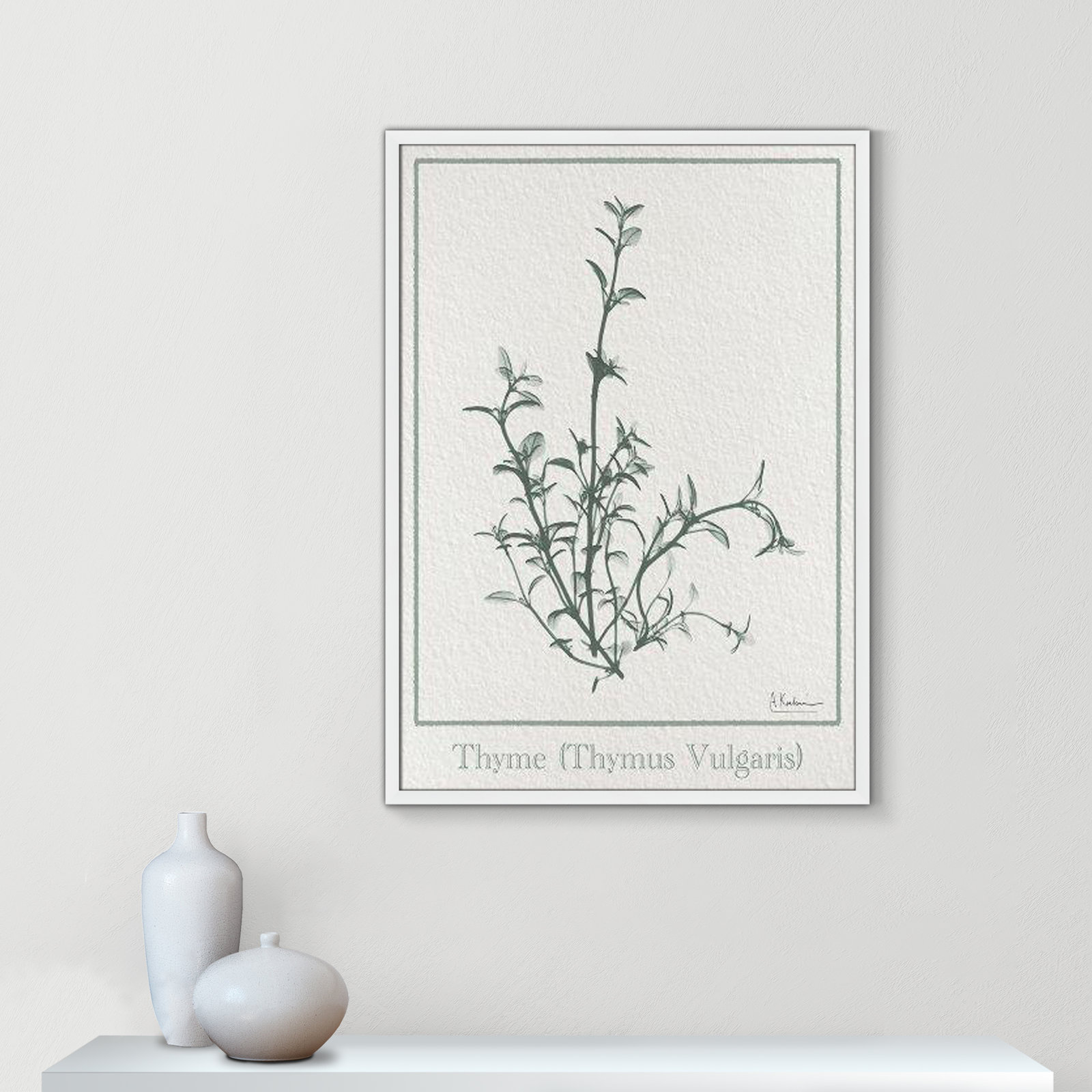 Jeanette "Thymus Vulgaris" Print, 35.5" H x 25.5" W x 1.25" D, Satin White Framed Paper