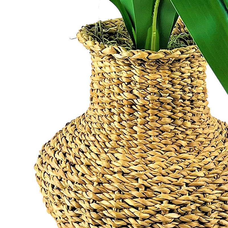 Urne en panier 36 po Dracaena