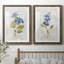 " Blue Linen Geranium " 2 - Pieces-1616870548-1616870596-1680238239