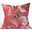 Coussin extérieur-21090949