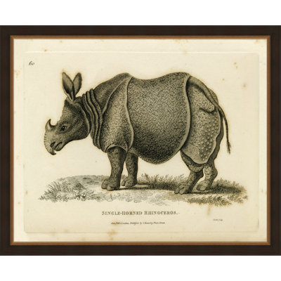 " Oversized Antique Rhino "