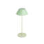 Zola LED Standard Table Lamp-1653940961
