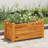 Raised Bed Brown Acacia Wood with Oil Finish Compact Durable Outdoor Garden