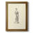 " Classical Statuary I "-71750473