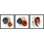 Triptyque saphirs et rubis-1236847448