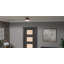 Denisha 2-Light Matte Black Flush Mount Light
