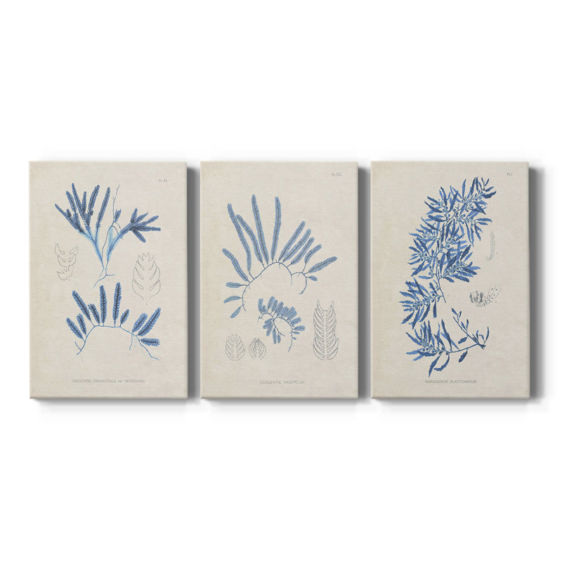 Blue Blue Algae I - Toile tendue avec châssis sur mesure - 3 pièces, H 12 po x l 24 po