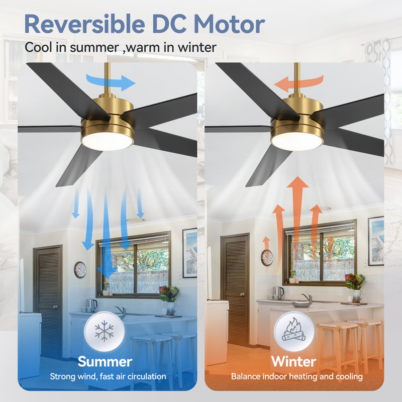 Beil Large Modern Ceiling Fan with Light Kit and Remote Control, 3 LED Colours, 6 Speed Noiseless DC Motor, 5 Plywood Blades, for Indoor/Covered Outdoor Use