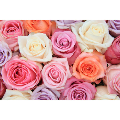 Pastel Rose Wedding Flowers - Wrapped Canvas Print