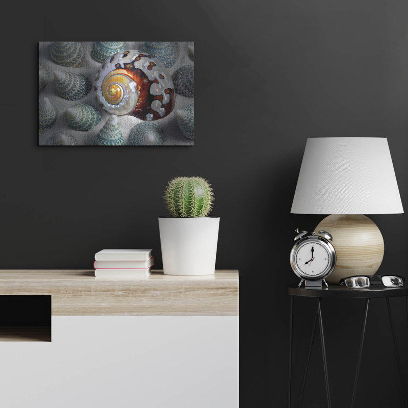 " Shell Spiral " by Dennis Frates, 16" H x 24" W