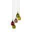 Rachael 5-Light Cluster Chandelier
