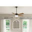 Ventilateur de plafond standard à 5 pales de 52 po avec lumières et chaîne de traction Swanson-49136365