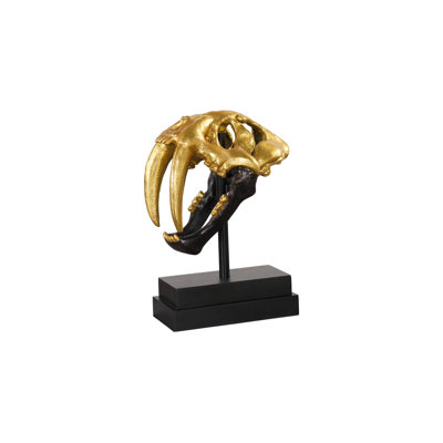 Saber Tooth Tiger Skull