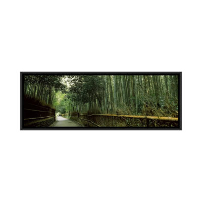 " Road passing through a bamboo forest, Arashiyama, Kyoto Prefecture, Kinki Region, Honshu, Japan " Color Photography
