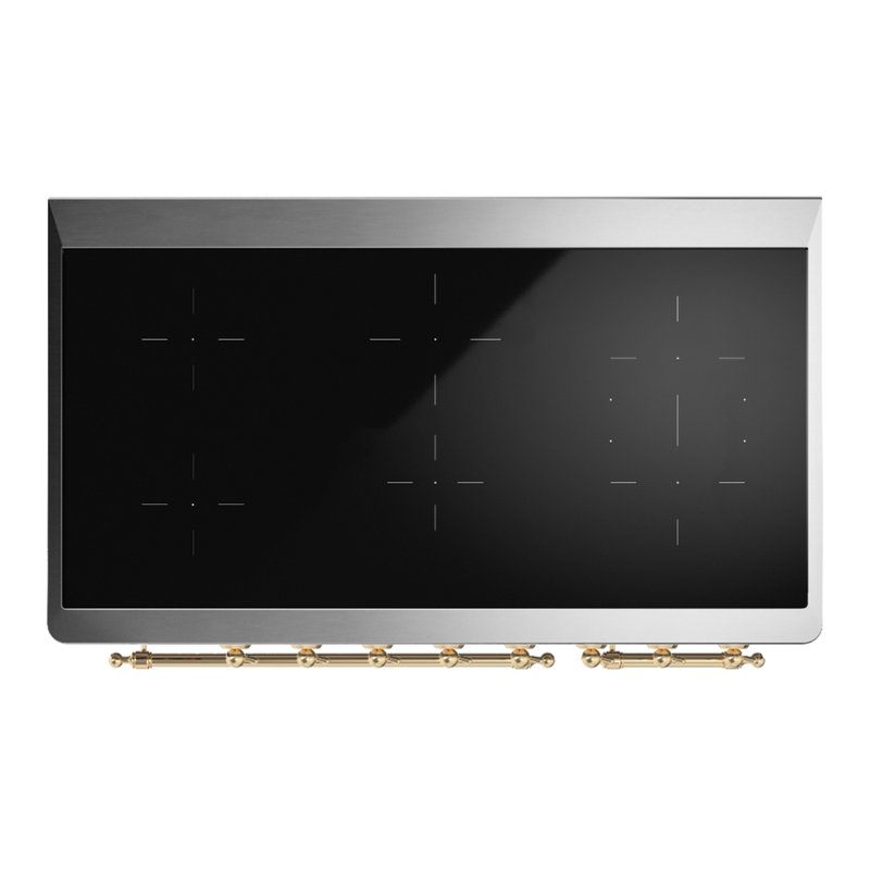 Majestic III Series 48 Inch Induction Range with 6 Induction Elements in Matte Graphite (Brass Trim), Brass, Antique White