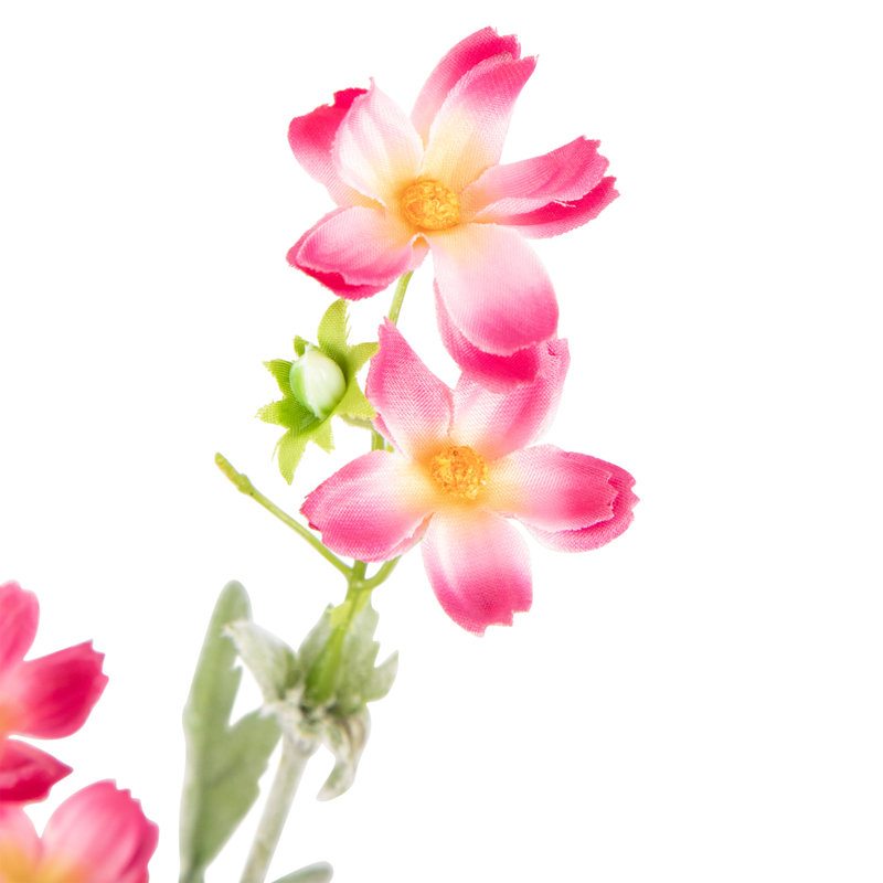 Vaporisateur pour bébé, Rose