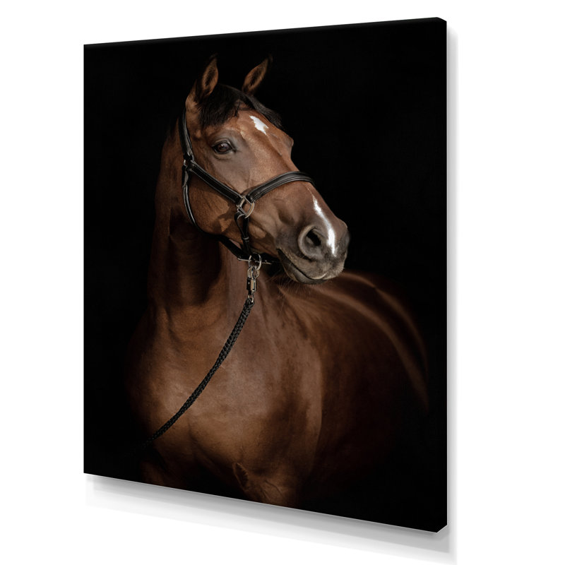 Horse Portrait - Animals Wall Art, 32" H x 16" W, Wrapped Canvas