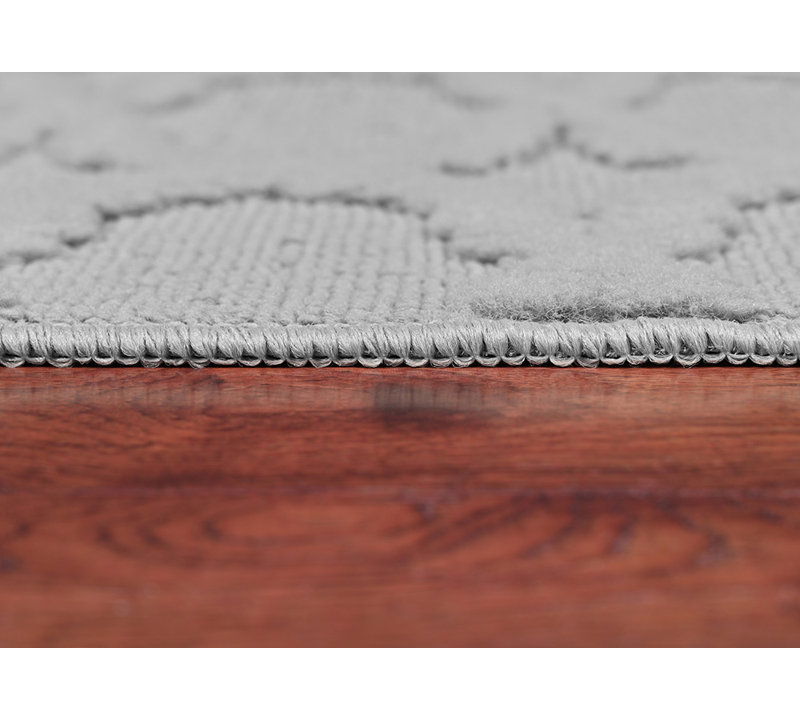 Tapis argenté en polypropylène anti-dérapant Togut, Rectangle 4pi x 6 pi