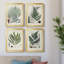 Collection Ferns I - ensemble de 4 peintures sur toile encadrées-528512148-528512147
