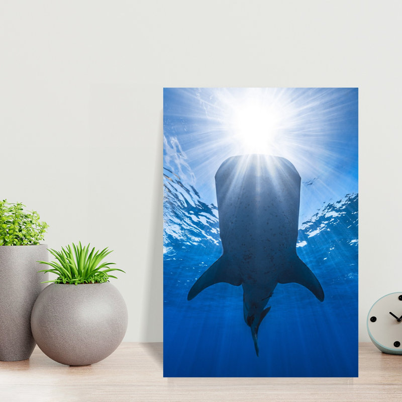 Whale Shark Rays Peaceful Serene Tranquil Shark Whale Nature Ocean Wall Art Print 1 Piece Wrapped Canvas Wall Art