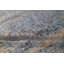 Oriental Area Rug