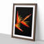 Orange and Red Bird of Paradise in Abstract - Picture Frame Graphic Art Print-55723849-55723850