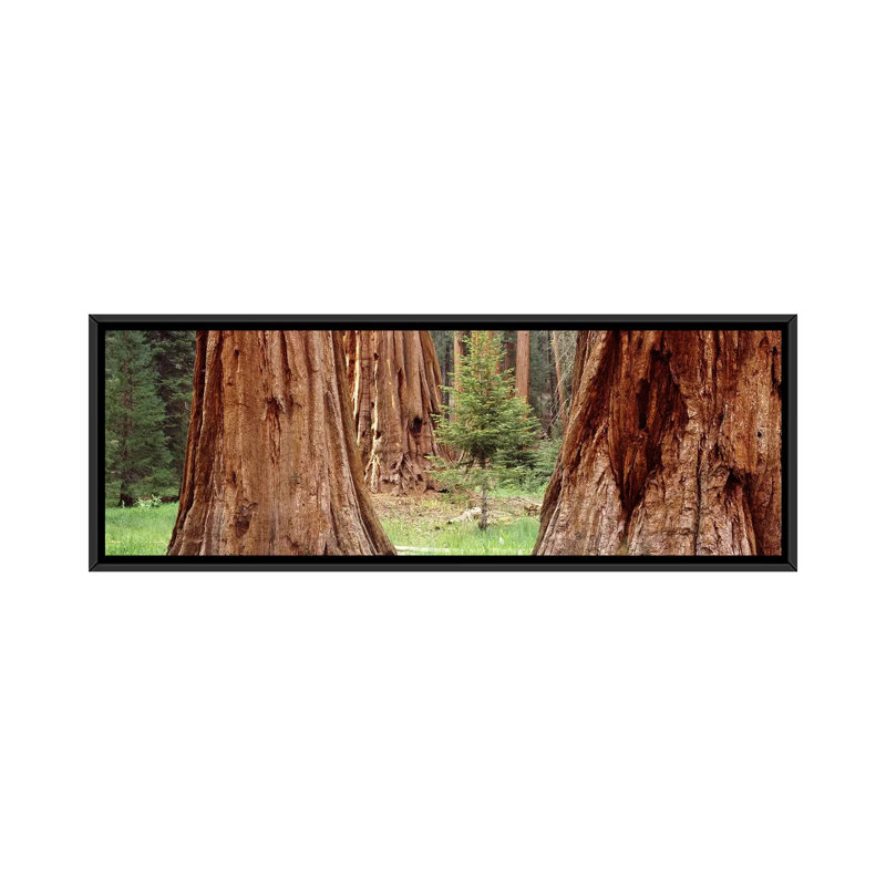 Reproduction de photo sur toile tendue, H 20 po x l 60 po x P 1,5 po, Toile tendue