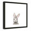 Art encadré en lapins forestières-48188937-48188939