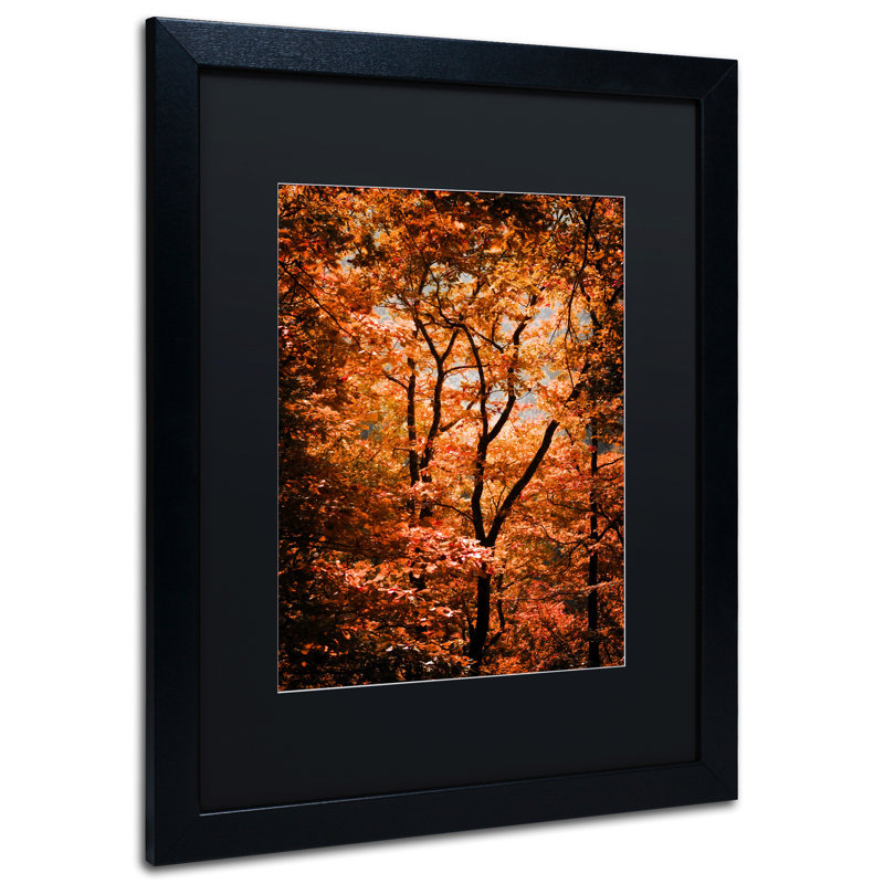 « automne messes », reproduction de photo sur toile encadrée, H 20 po x l 16 po x P 0,5 po