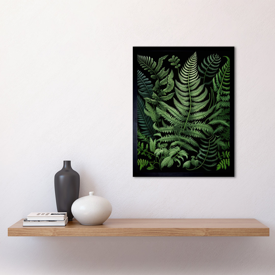 Fern Fronds Illustration Ernst Haeckel Style - Single Picture Frame Print