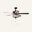 52'' Ceiling Fan with Light Kit-722396582-722396584-702781732