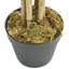 Faux Bamboo Tree in Pot-2023576497