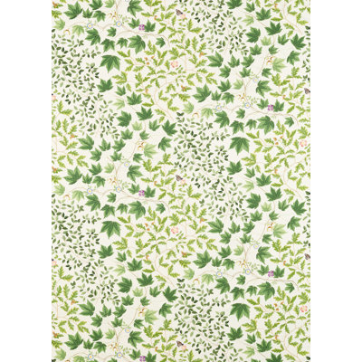 Sycamore and Oak Fabric